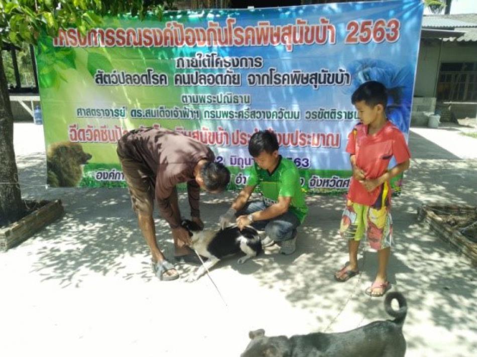 โครงการรณรงค์ป้องกันและควบคุมโรคพิษสุนัขบ้า (1 ภาพ)