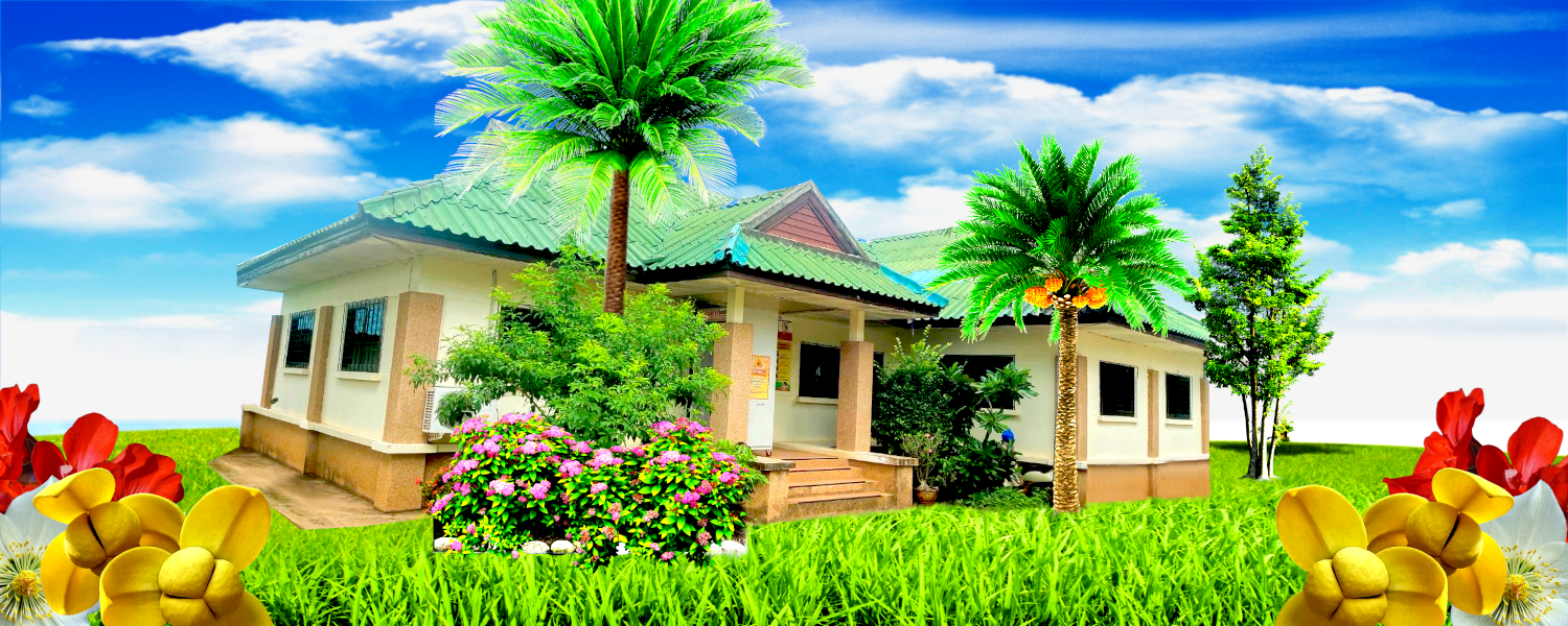 พื้นหลัง